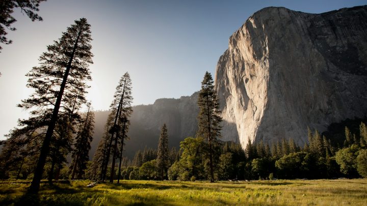 La loi sur la restauration de la nature adoptée in extremis après le revirement de l’Autriche