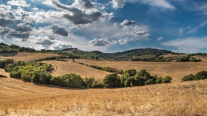 Lobby agricole mondial: l’influence tentaculaire qui façonne les politiques internationales 🌾🌎
