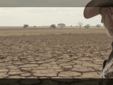 « Une sécheresse historique plonge le monde agricole dans une crise sans précédent : la pire année du siècle »